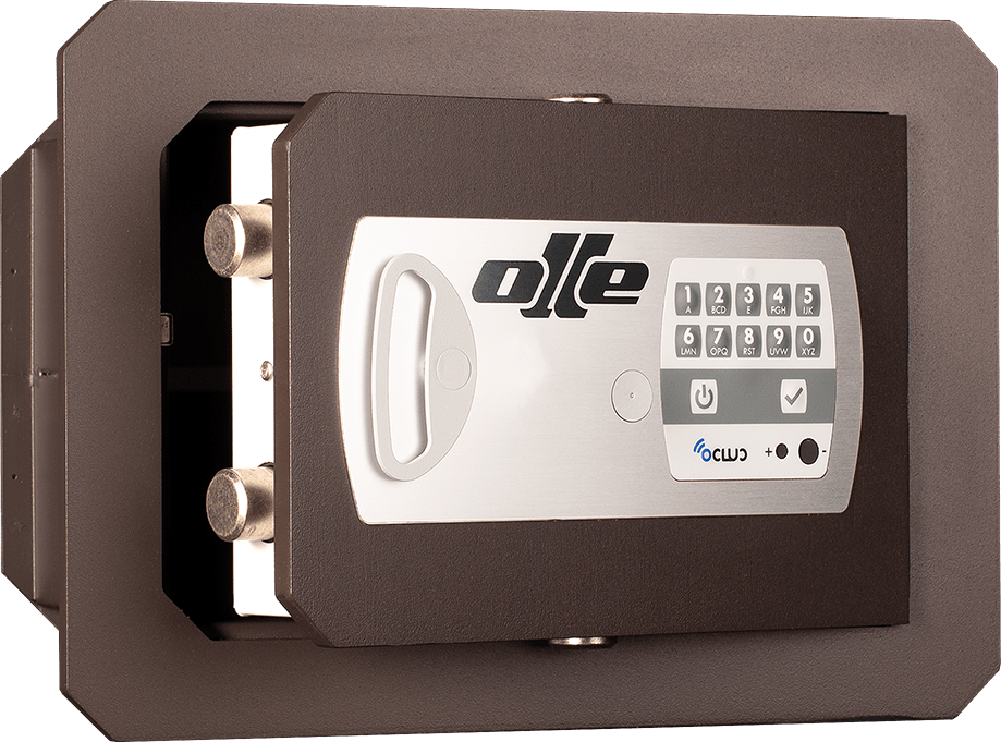 Serie 1000 Mural - Imagen 2